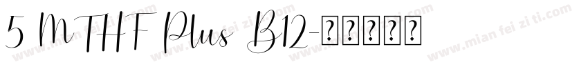 5 MTHF Plus B12字体转换